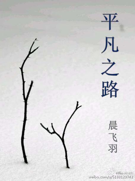 ӰͬˣӰ֮ƽ֮·